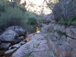 Seatons Campground - Weddin Mountains National Park: There are a few walks in the area to secluded spots up cool gorges.