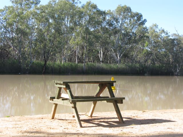 Willow Bend Caravan Park - Wentworth: Riverside picnic table