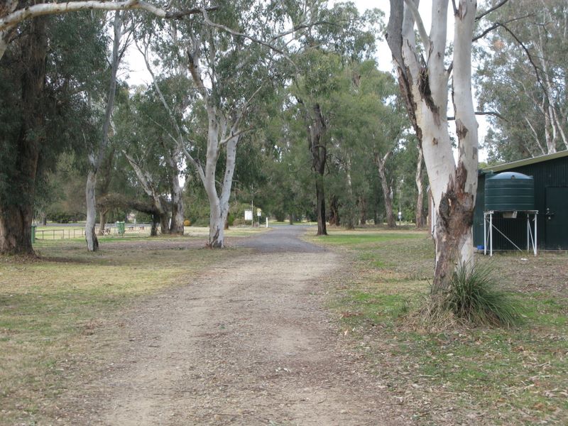 Werris Creek Sporting Complex - Werris Creek: Gravel road into the area.  Be wary of falling limbs.