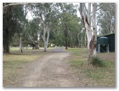 Werris Creek Sporting Complex - Werris Creek: Gravel road into the area.  Be wary of falling limbs.