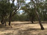 Betha Bend Campground - Wharparilla: Plenty of trees and shade. Beware of falling limbs.