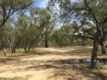 Betha Bend Campground - Wharparilla: Lots of lovely river walks.