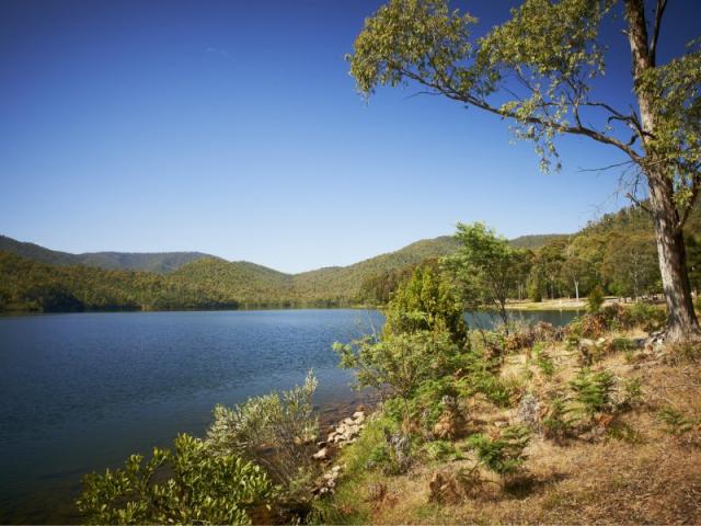 Valley View Caravan Park - Whitfield: Lake William Hovell