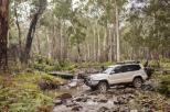 Valley View Caravan Park - Whitfield: 4WD in the High Country