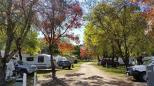 Valley View Caravan Park - Whitfield: Powered Sites