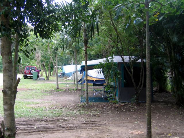 Flametree Tourist Village - Airlie Beach: Area for tents and camping