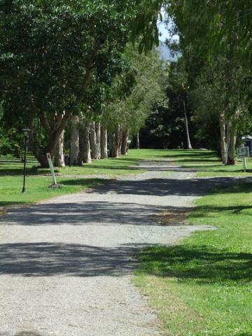 Gunna Go Caravan Park - Proserpine: Nice shady trees