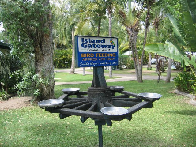 Island Gateway Holiday Park - Airlie Beach: Bird Feeding takes place daily