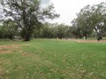Victory Park Caravan Park - Wilcannia: view of grassed camp sites 