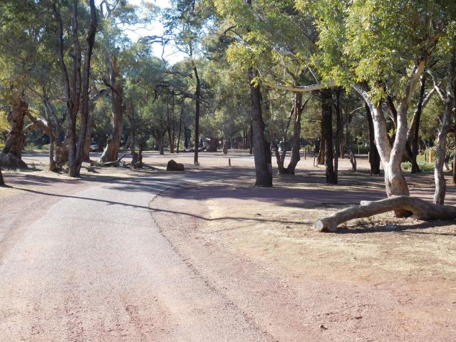 Wilpena Pound Camping and Caravan Park - Wilpena Pound: Open camping area