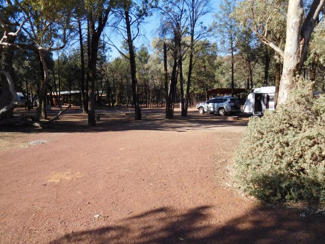 Wilpena Pound Camping and Caravan Park - Wilpena Pound: Spacious sites for unpowered camping