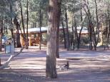 Wilpena Pound Camping and Caravan Park - Wilpena Pound: Camp kitchen area