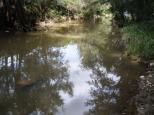 Bushlands Tourist Park - Windeyer: Long Creek