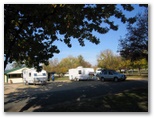Borderland Holiday Park - Wodonga: Drive through powered sites for caravans