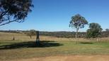 Wollomombi Rest Area - Wollomombi: Lovely country views from the rest area.