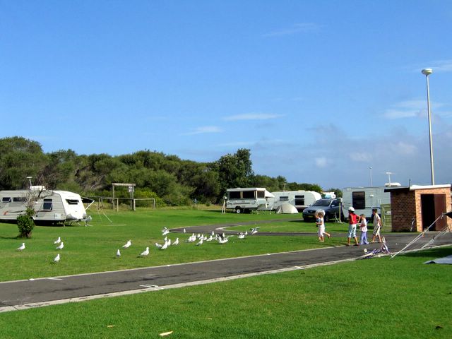 Corrimal Beach Tourist Park - Corrimal Beach: Children chasing the seagulls
