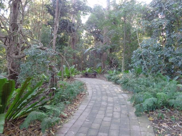 Corrimal Beach Tourist Park - Corrimal Beach: Lovely walking tracks in the botanic garden