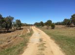 Wombat Recreation Sports Oval and Campground - Wombat: There is a large open area well away from the road if you want some peace and quiet.