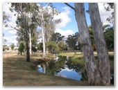 Dingo Creek Bicentennial Park - Wondai: A creek bisects the park