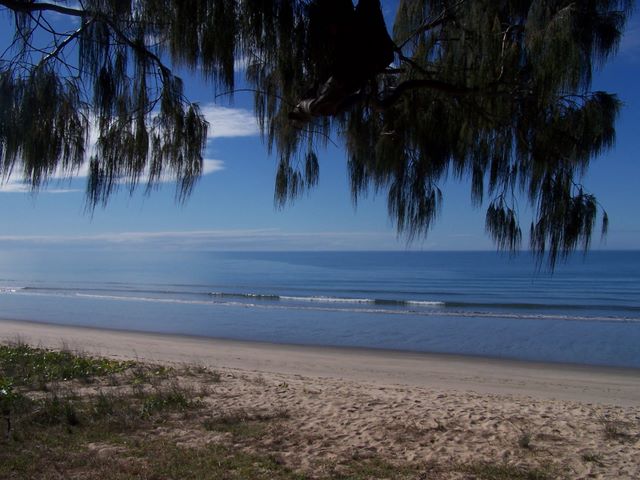 Woodgate Beach Tourist Park - Woodgate: Beautiful Woodgate Beach Just across the road from the Park
