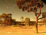Woomera Travellers Village - Woomera: The CVP  early morning most travelers have departed  it is surprising how quickly the park tends to fill after 4pm rigs just appear from nowhere so hit the showeres early drive throughs have power and water and are spacious.
