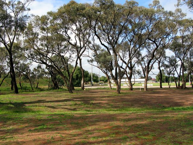 Wycheproof Caravan Park - Wycheproof: Area for tents and camping