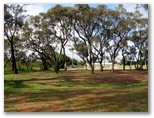 Wycheproof Caravan Park - Wycheproof: Area for tents and camping