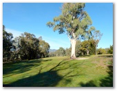 Yackandandah Golf Club - Yackandandah: One of the most scenic fairways in North east Vic