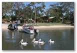 Blue Dolphin Holiday Resort - Yamba: Cottage accommodation, ideal for families, couples and singles