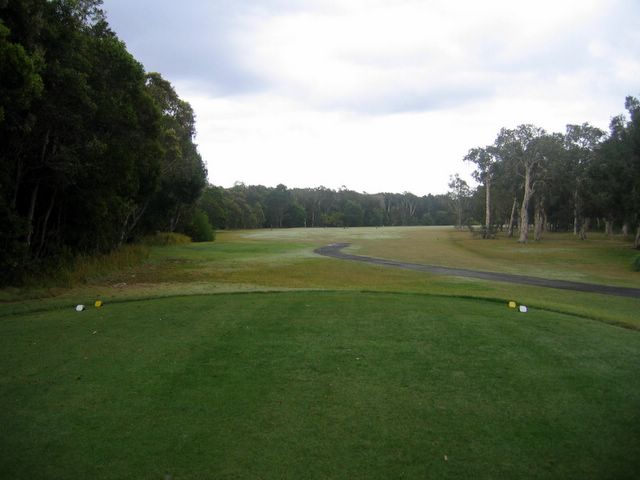 Yamba Golf Course - Yamba: Fairway view of the 15th with lots of unforgiving trees on both sides.