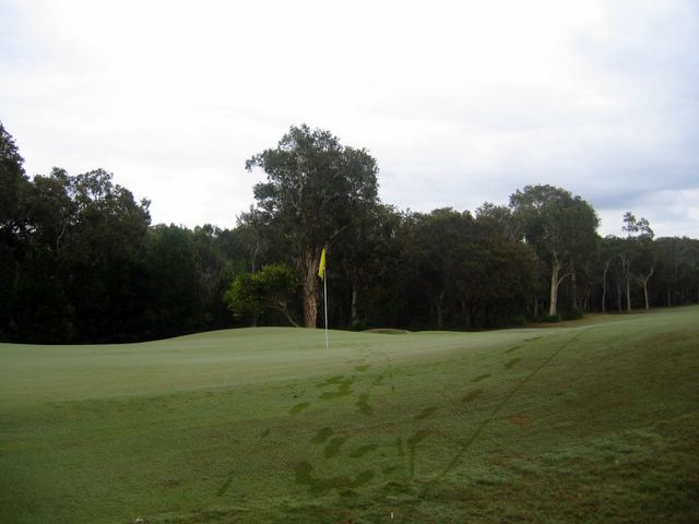 Yamba Golf Course - Yamba: Sleep slope up to the 16th green and a sharp fall away makes chipping challenging.