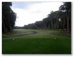 Yamba Golf Course - Yamba: Fairway view of the 14th with kangaroos on the move.