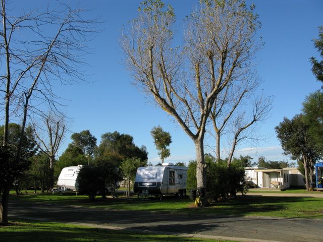 Yarram Rosebank Tourist Park - Yarram: Powered sites for caravans