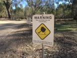 Forges Beach No 1 - Yarrawonga: Beware of falling branches and trees.