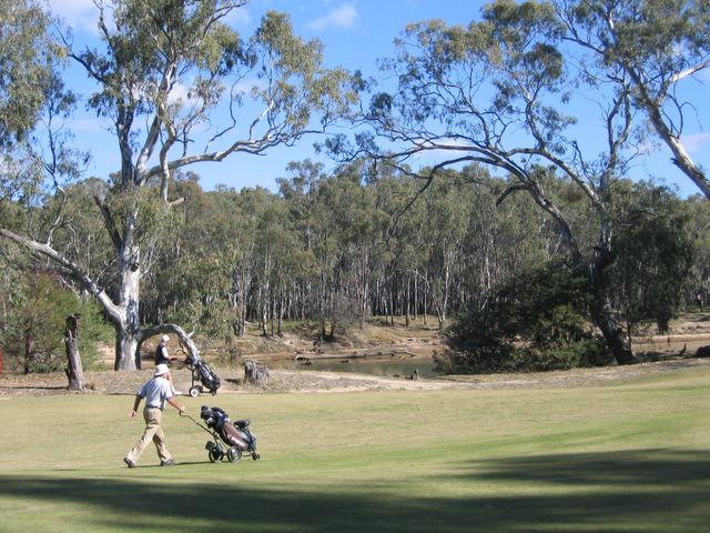 Yarrawonga & Border Golf Club - Mulwala: The 5th fairway runs along beside the Murray River