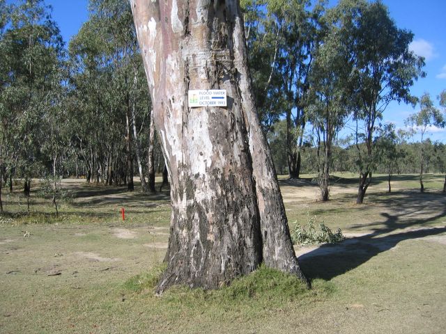 Yarrawonga & Border Golf Club - Mulwala: Tree marker indicating flood level reached in October 1993 - golf was suspended during the flood
