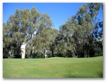 Yarrawonga & Border Golf Club - Mulwala: Green on Hole 2