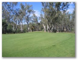 Yarrawonga & Border Golf Club - Mulwala: Green on Hole 3