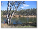 Yarrawonga & Border Golf Club - Mulwala: The beautiful Murray River beside Hole 6