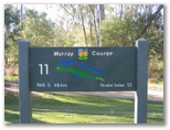 Yarrawonga & Border Golf Club - Mulwala: Yarrawonga & Border Golf Club Hole 11: Par 5, 484 metres