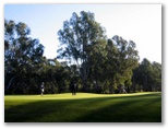Yarrawonga & Border Golf Club - Mulwala: Green on Hole 16