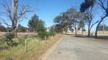 Yarrawonga West Rest Area - Yarrawonga: Access road to the rest area.