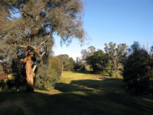 Yass Golf Course - Yass: Approach to the green on Hole 6