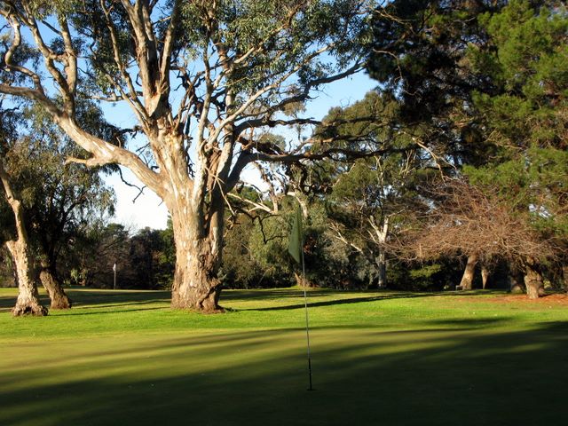 Yass Golf Course - Yass: Green on Hole 6.
