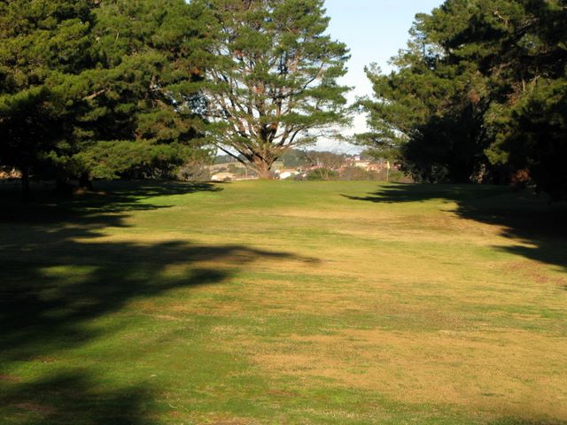 Yass Golf Course - Yass: Approach to the green on Hole 8.