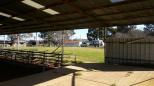 Yass Showground - Yass: Looking at the showground from exhibition building