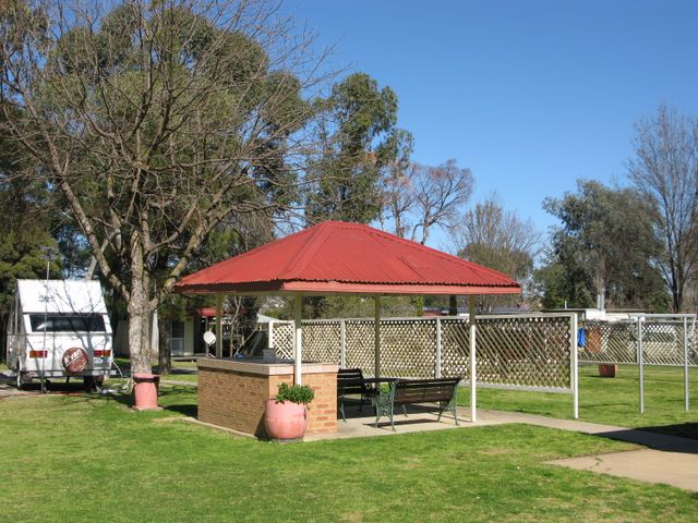 Young Tourist Park - Young: BBQ and picnic area