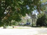 Big Spring Creek - Young: Shady spot for caravans and motorhomes
