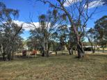 Young Showground - Young: There are many places with good shade which is worth taking in the heat of summer.