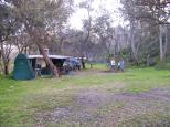 Pebbly Beach Camping Area - Yuraygir National Park: Lovely camp sites